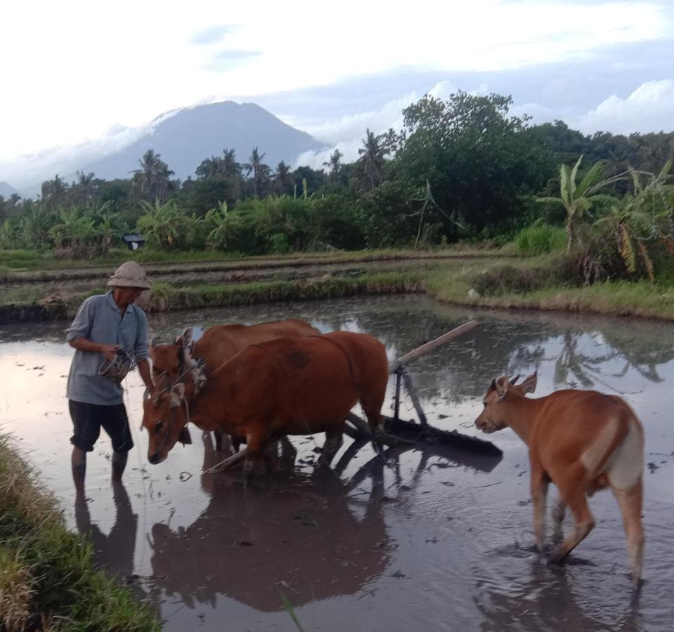 Pondok Diana Arta Jasri Cameră foto